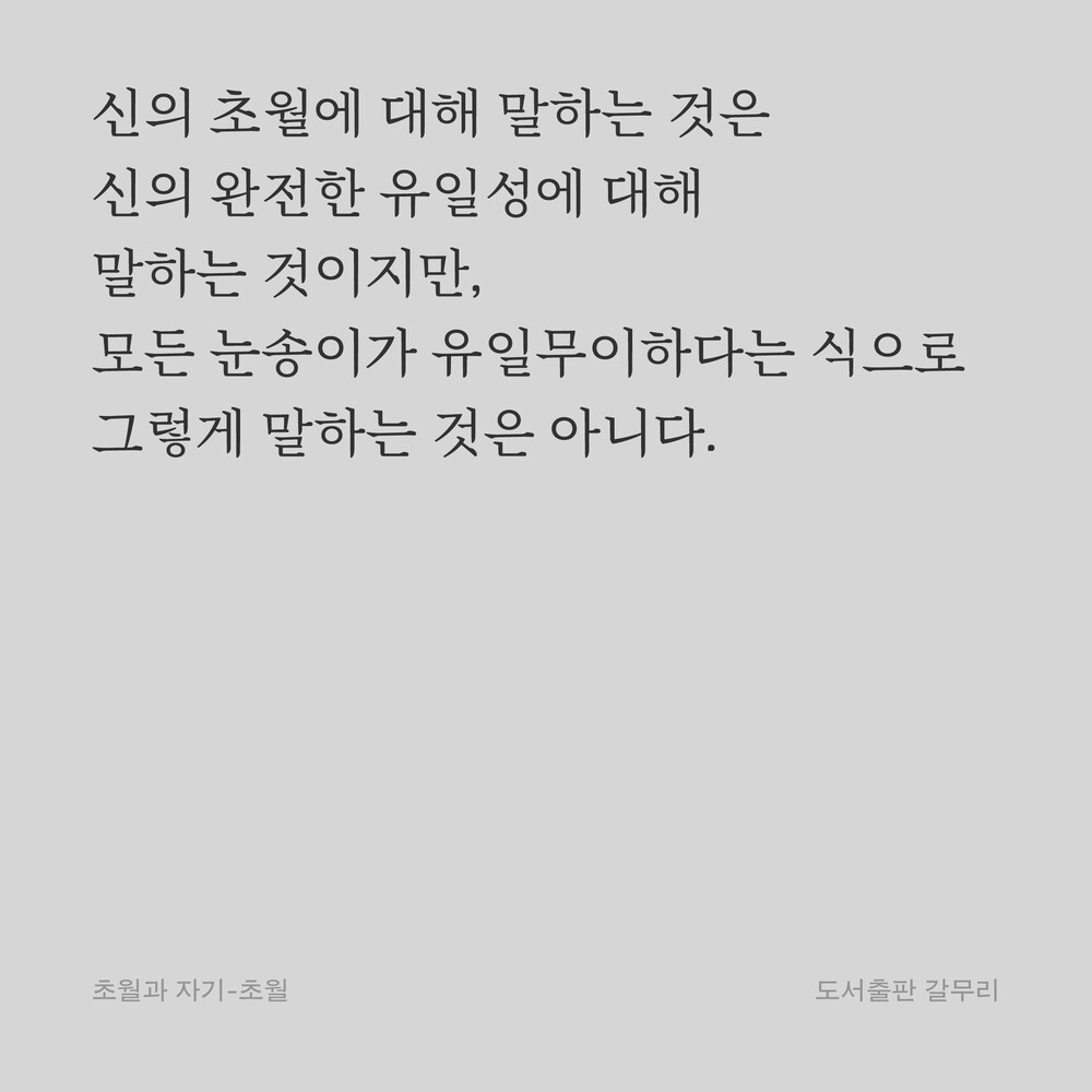 신의 초월에 대해 말하는 것은 신의 완전한 유일성에 대해 말하는 것이지만, 모든 눈송이가 유일무이하다는 식으로 그렇게 말하는 것은 아니다.