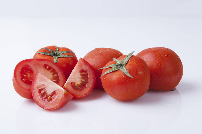 영양 많은 토마토 사진