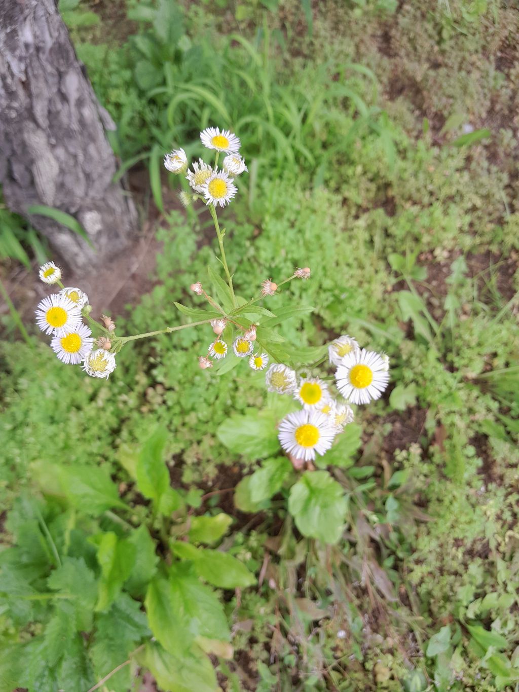 만석님 감사해요