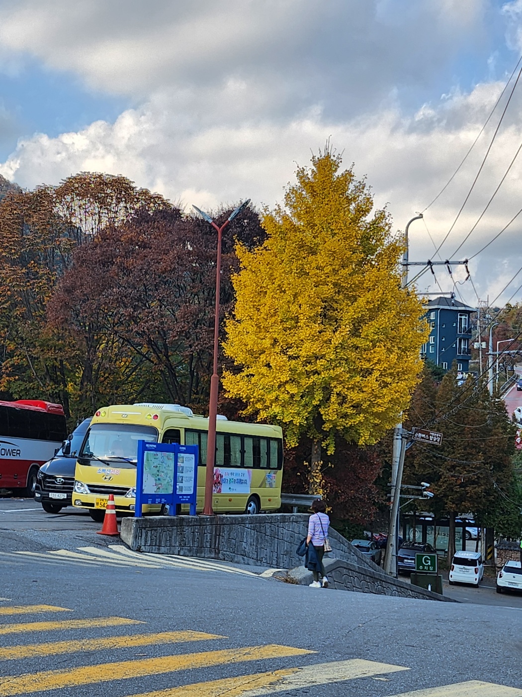 단풍사진