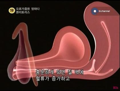 ﻿G-spot에 대한 ..