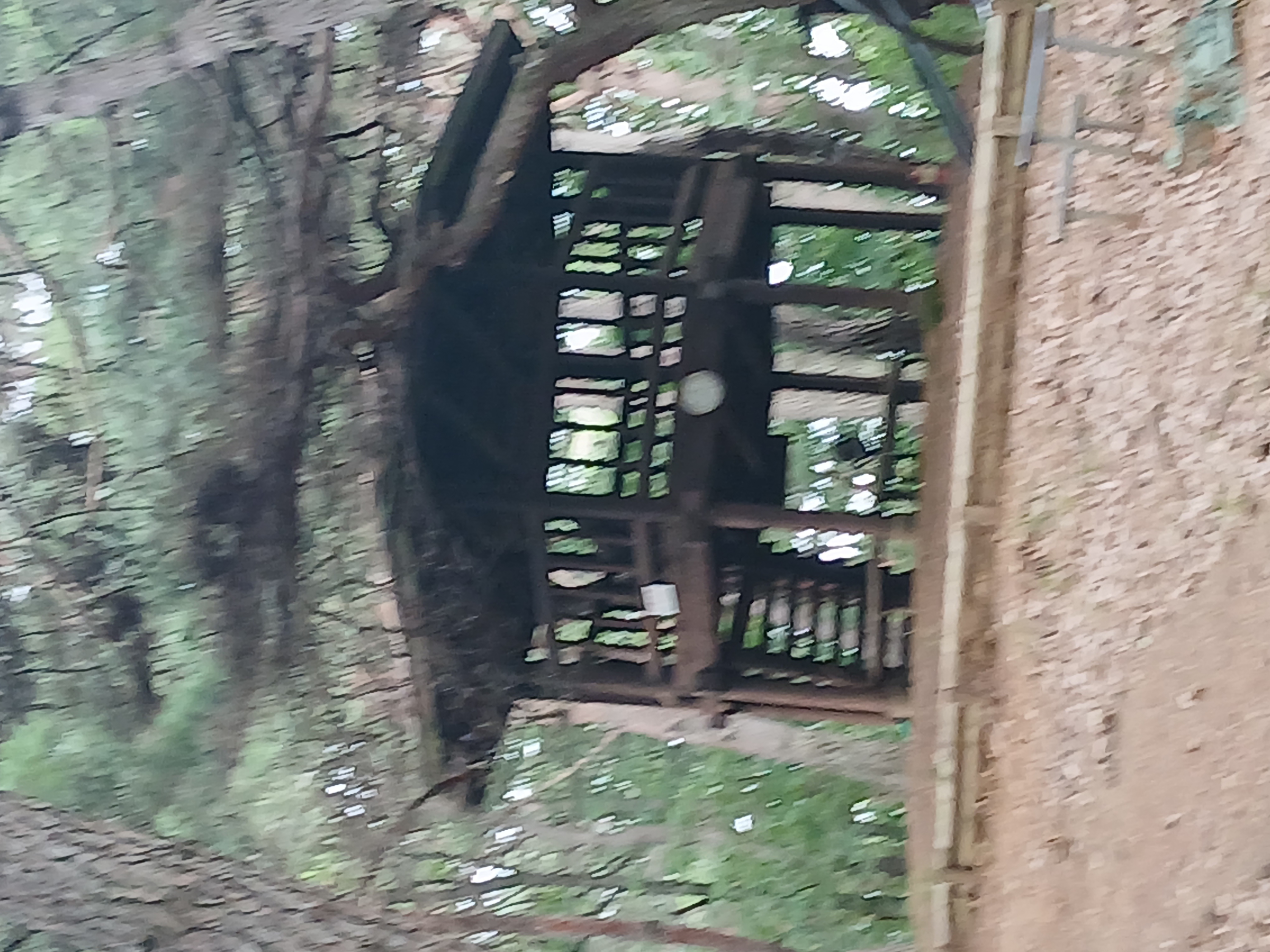 등산로정상