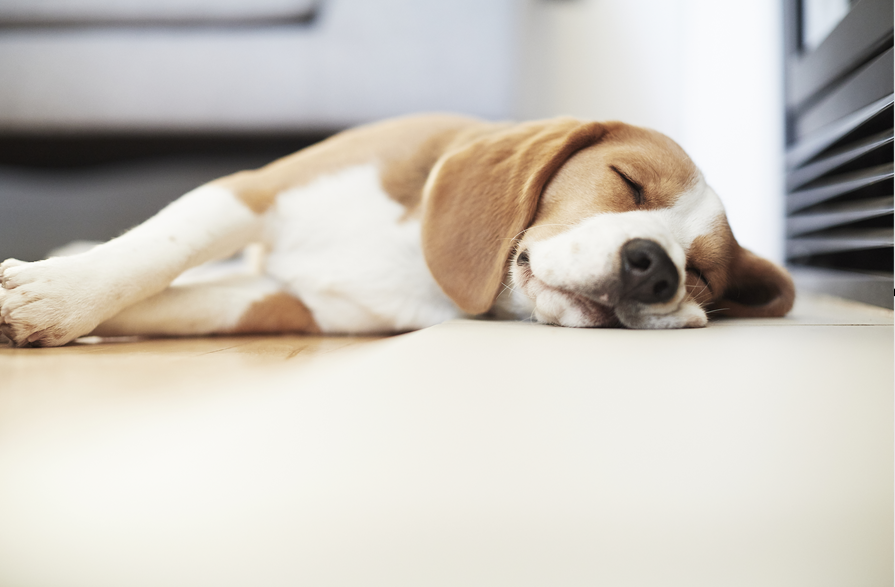 A씨라면 어떻게 결정을..