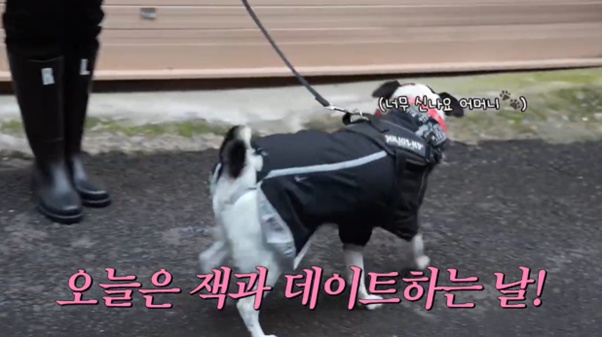 20년 부부케미 강주은..