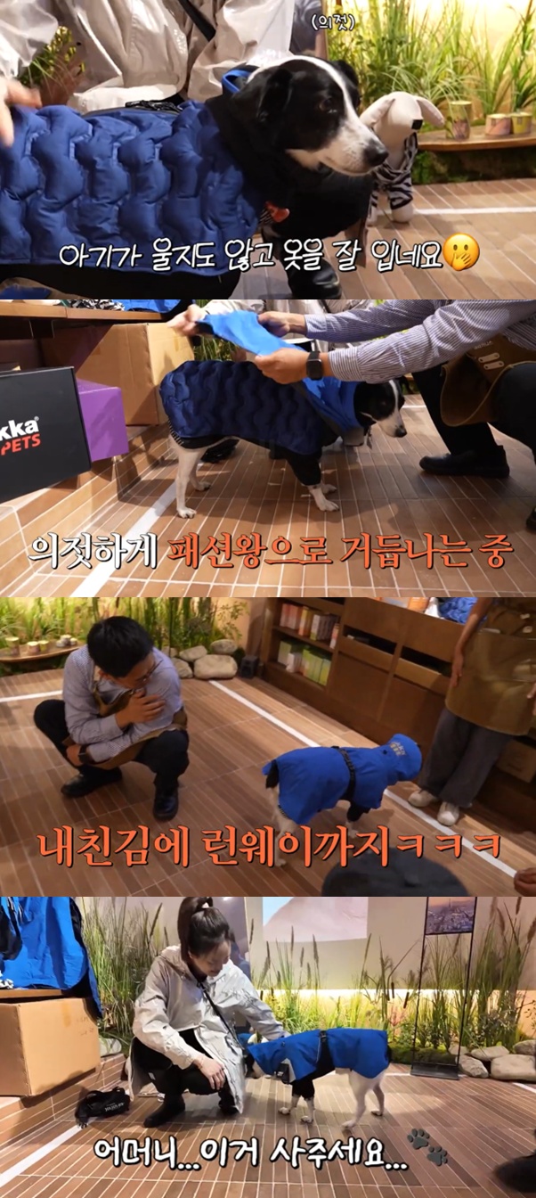 20년 부부케미 강주은..