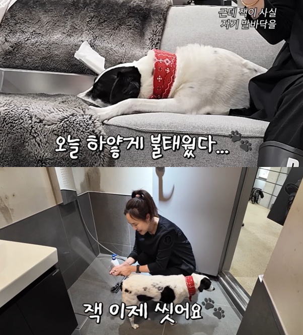 20년 부부케미 강주은..