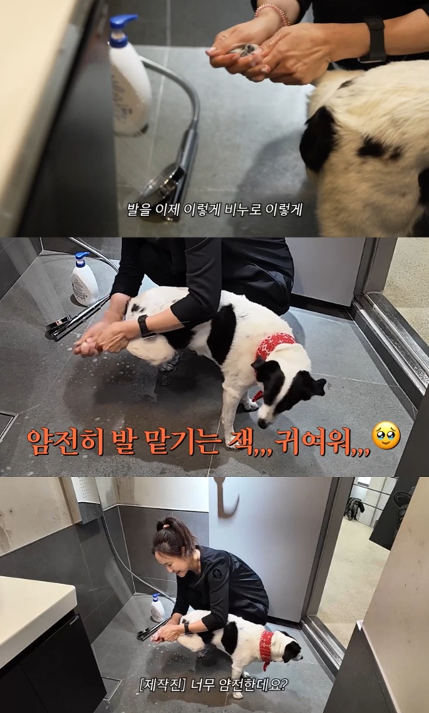 20년 부부케미 강주은..