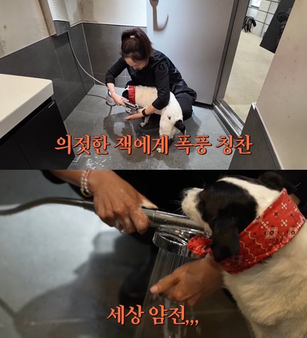 20년 부부케미 강주은..