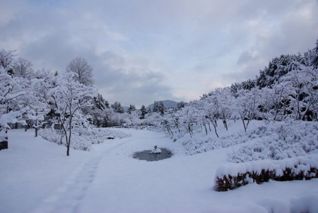 겨울을 느낄 수 있는 ..
