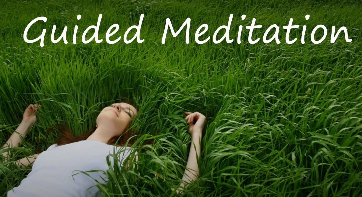 암 자연치유를 주장하는..