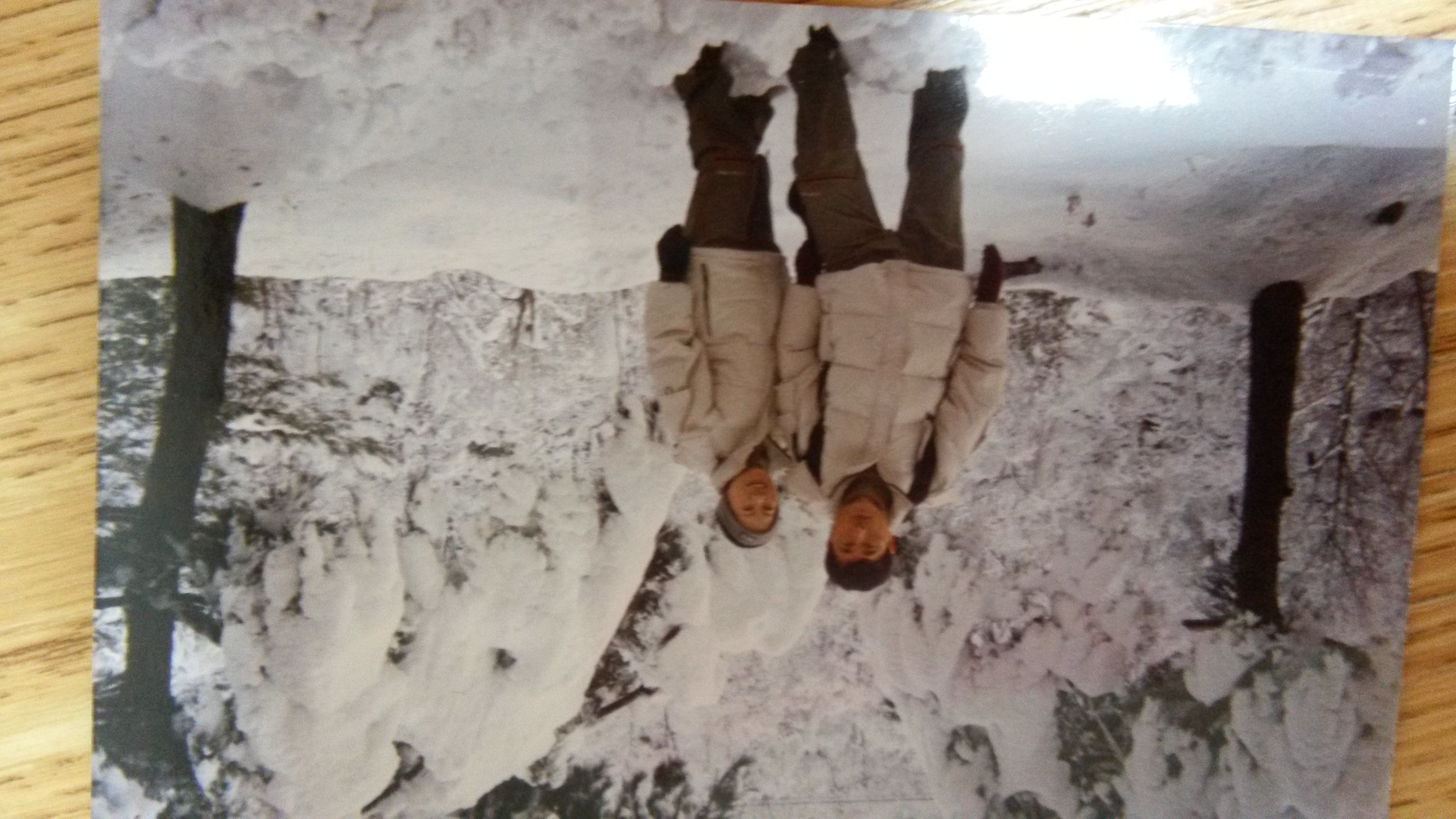 내 땅이지만 다시는 가..