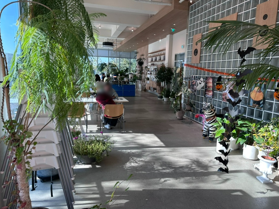 경치가 좋은 카페