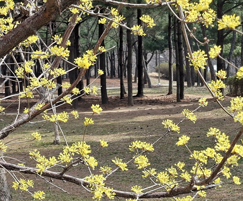 집근처 공원이에요