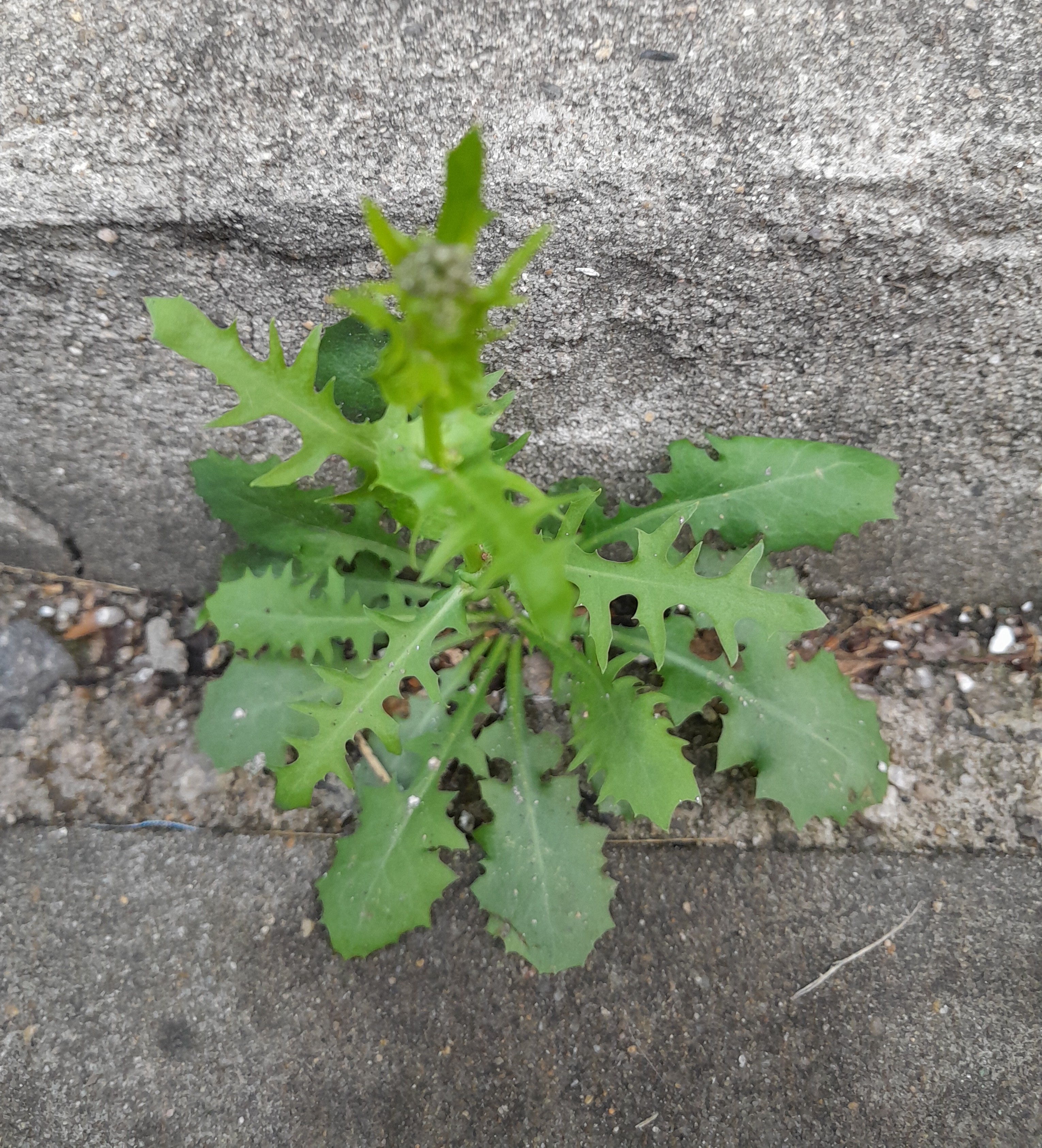 시간은 많이 흘렀다
