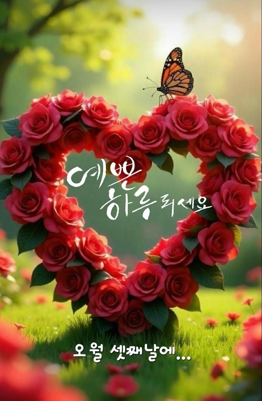 컨텐츠이미지