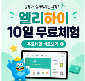 엘리하이 후기 가격 초..