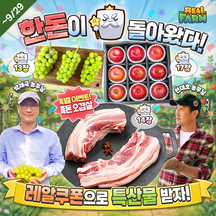 컨텐츠이미지
